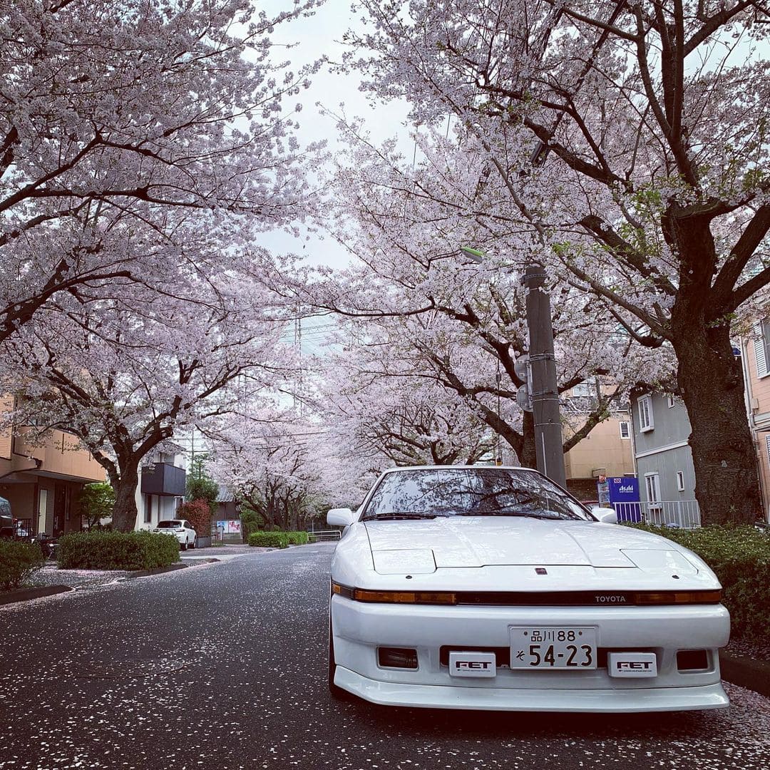 1988 Toyota Supra Fog Lights