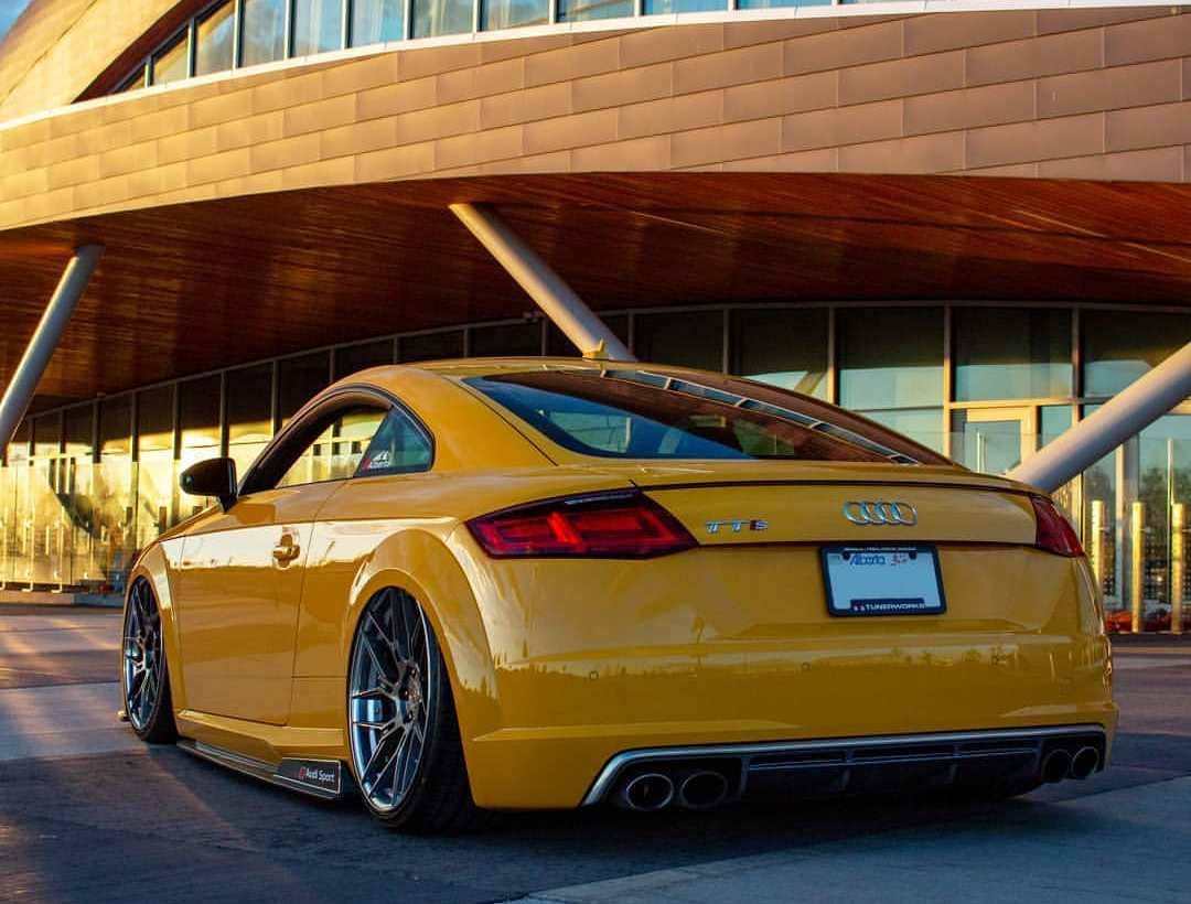 Audi TTS Rear End