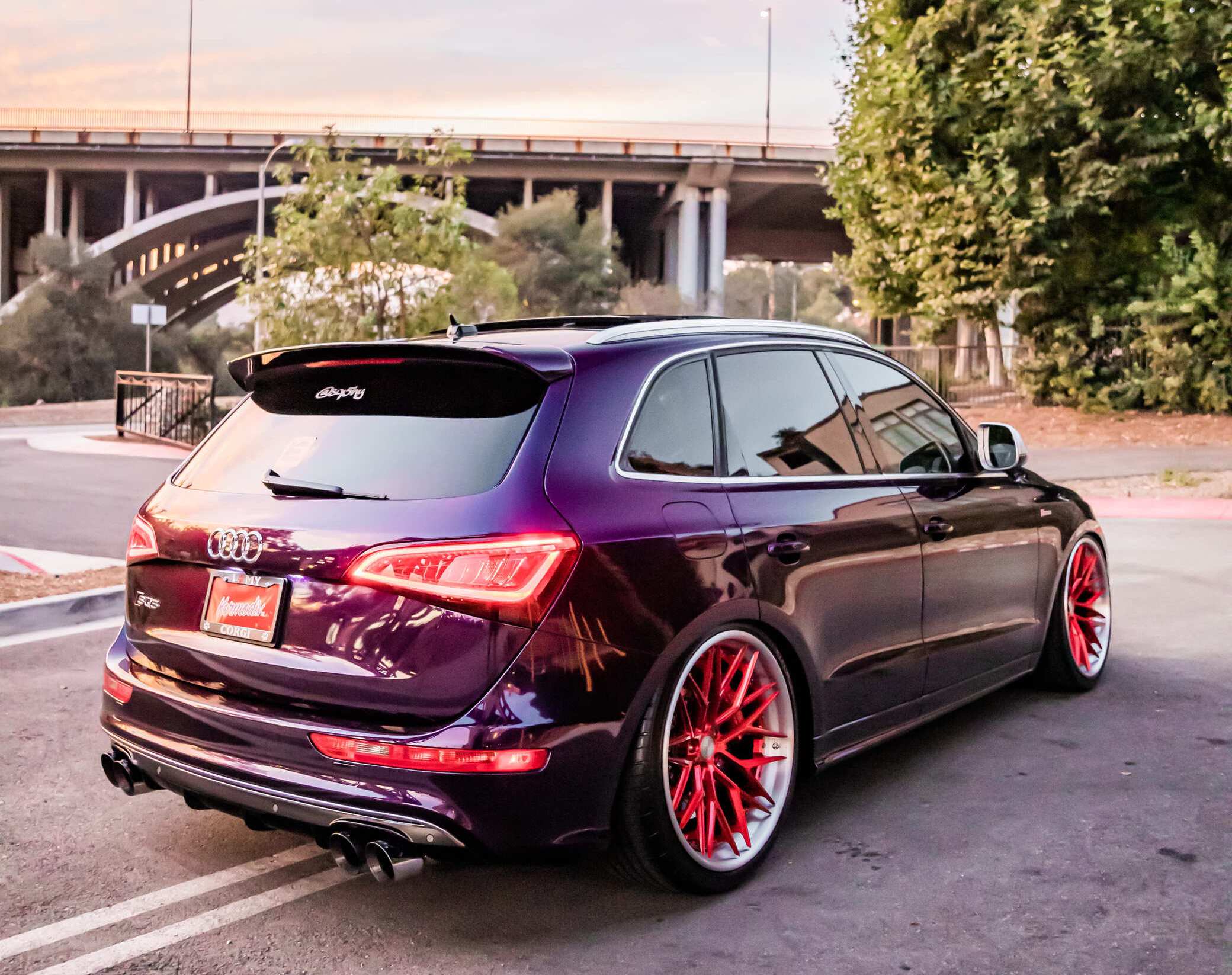 Audi SQ5 Rear End